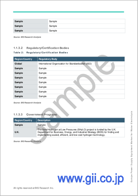 サンプル1：欧州の水電解用電源装置市場：用途・装置タイプ・国別の分析・予測 (2023-2032年)