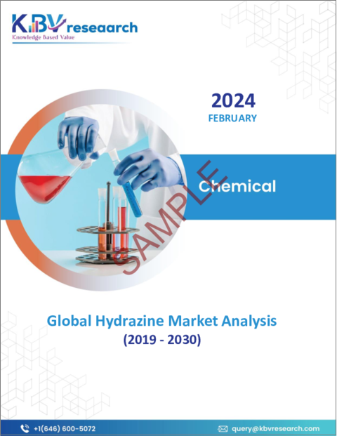 表紙：ヒドラジンの世界市場規模、シェアおよび動向分析レポート（用途別、地域別の見通しおよび予測、2023年～2030年）