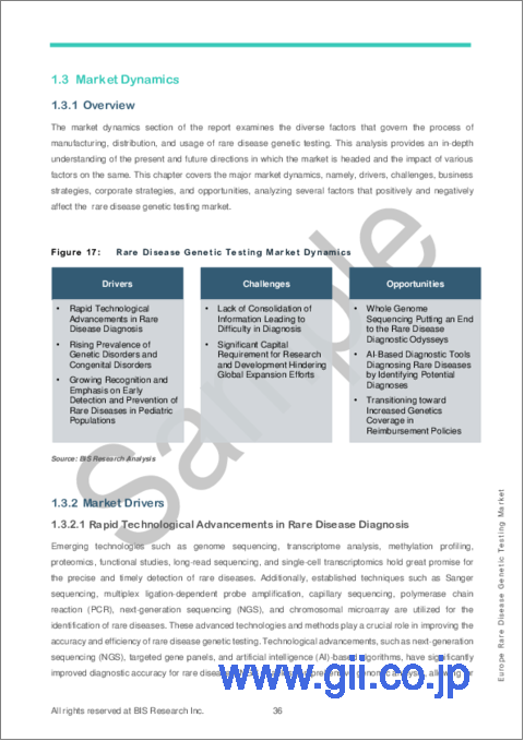 サンプル2：欧州の希少疾患遺伝子検査市場：分析・予測 (2023-2033年)