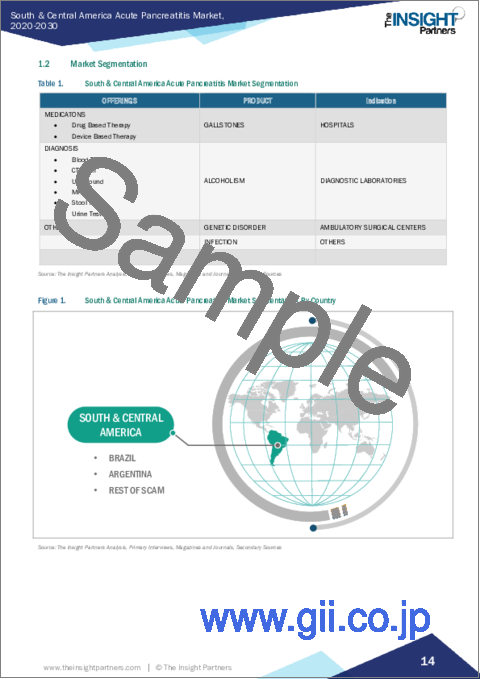 サンプル1：中南米の急性膵炎：2030年までの市場予測 - 地域別分析 - 提供別、病因別、エンドユーザー別
