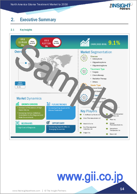 サンプル1：北米のグリオーマ治療：2030年までの市場予測 - 地域別分析 - 疾患別、治療タイプ別、グレード別、エンドユーザー別