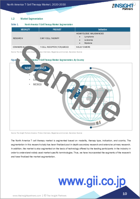 サンプル1：北米のT細胞療法：2030年までの市場予測 - 地域別分析 - モダリティ別、治療タイプ別、適応症別