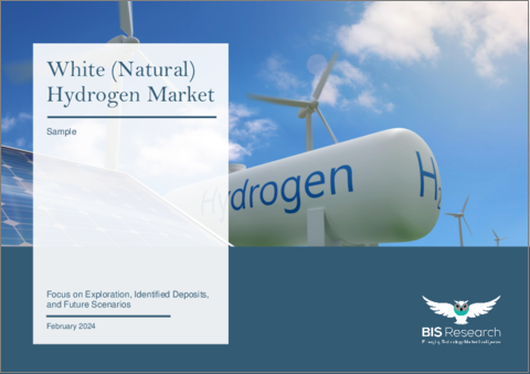 表紙：ホワイト水素 (天然水素) 市場：探査・確認済み鉱床・将来のシナリオ