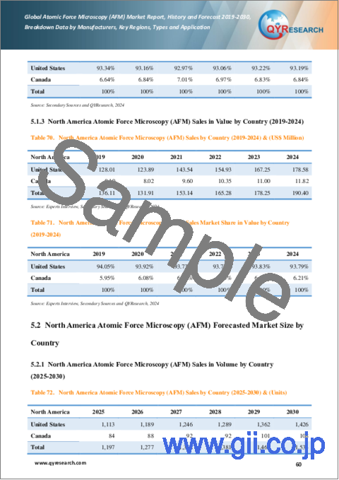 サンプル2：原子間力顕微鏡 (AFM) の世界市場：実績・予測 (2019～2030年)