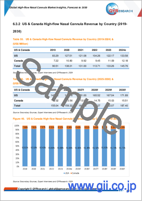 サンプル2：高流量鼻カニューレの世界市場：洞察と予測（～2030年）