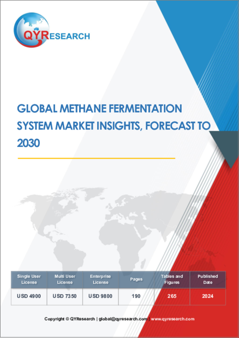 表紙：メタン発酵システムの世界市場の洞察と予測（～2030年）