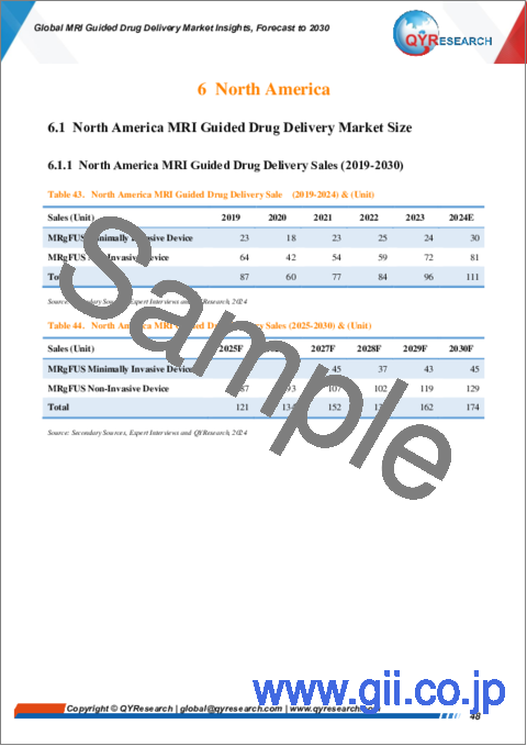 サンプル2：MRI誘導ドラッグデリバリーの世界市場の洞察と予測（～2030年）