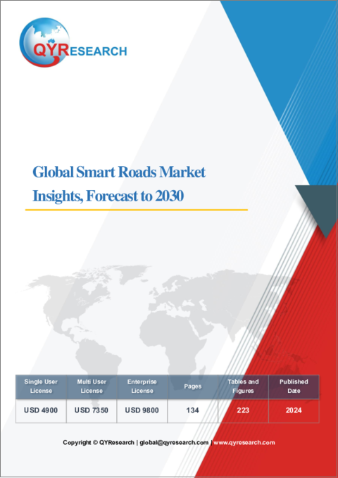 表紙：スマート道路の世界市場：洞察と予測（～2030年）