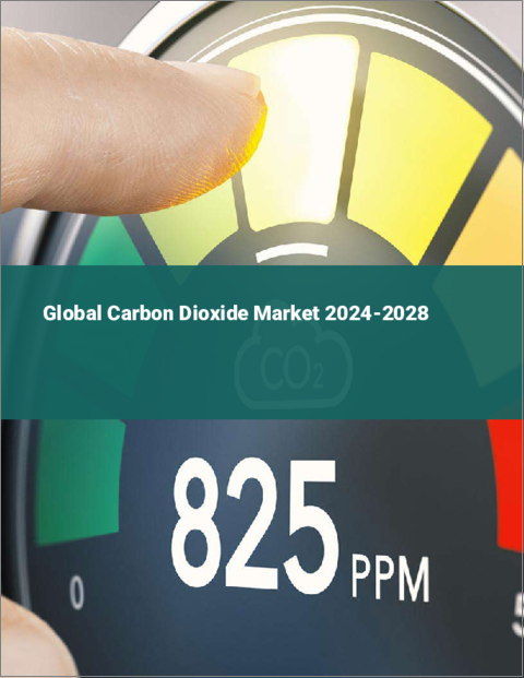 表紙：二酸化炭素の世界市場 2024-2028