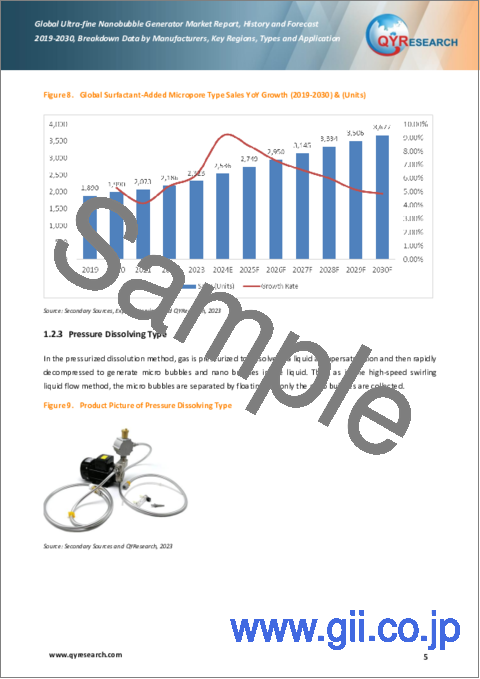 サンプル1：超微細ナノバブル発生装置の世界市場：実績と予測（2019年～2030年）