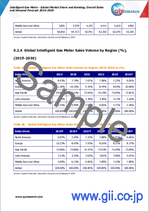 サンプル2：インテリジェントガスメーターの世界市場：市場シェアとランキング、全体の売上、需要予測（2024年～2030年）