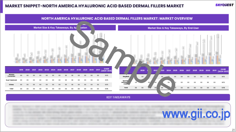 サンプル2：ヒアルロン酸ベースの皮膚フィラーの世界市場規模、シェア、成長分析、製品タイプ別、用途別 - 産業別予測、2024年～2031年