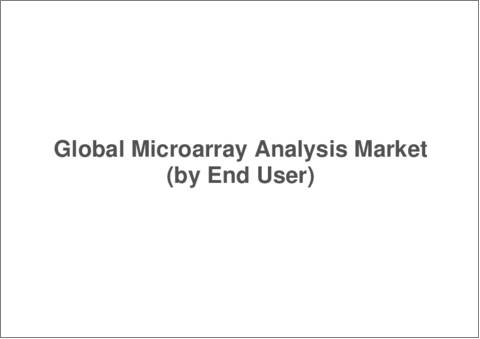サンプル2：マイクロアレイ解析の世界市場：世界および地域別分析- 製品別、タイプ別、用途別、エンドユーザー別、地域別、競合情勢 - 分析と予測 (2023-2033年)