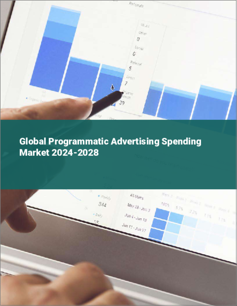 表紙：プログラマティック広告費の世界市場 2024-2028