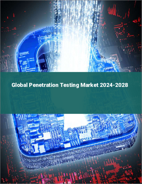 表紙：侵入テストの世界市場 2024-2028