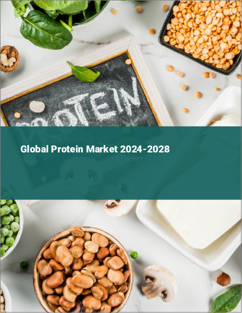 表紙：プロテインの世界市場2024-2028