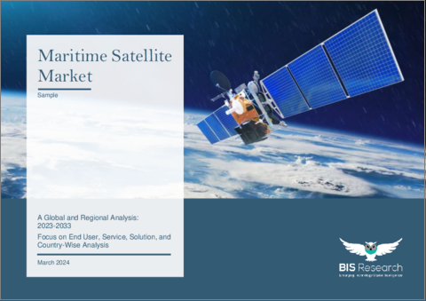 表紙：海事衛星の世界市場：世界および地域別分析 - エンドユーザー別、サービス別、ソリューション別、国別- 分析と予測 (2023-2033年)