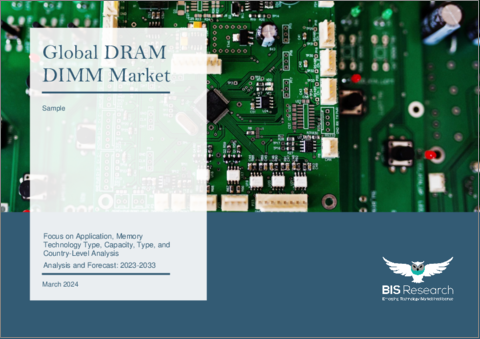 表紙：DRAM DIMMの世界市場：用途別、メモリ技術タイプ別、容量別、タイプ別、国別 - 分析と予測（2023年～2033年）