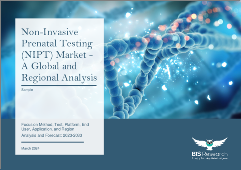 表紙：非侵襲的出生前検査（NIPT）市場- 世界および地域別分析：方法別、検査別、プラットフォーム別、エンドユーザー別、用途別、地域別 - 分析と予測（2023年～2033年）