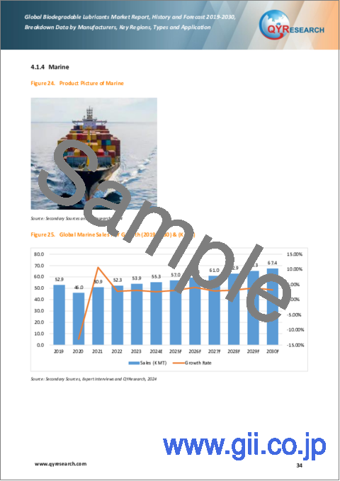 サンプル2：生分解性潤滑剤の世界市場、実績と予測（2019年～2030年）