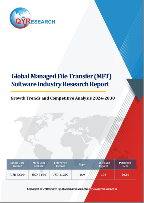 表紙：マネージドファイル転送 (MFT) ソフトウェアの世界市場：成長動向・競合分析 (2024年～2030年)