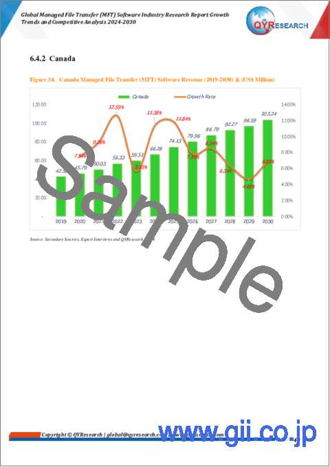 サンプル2：マネージドファイル転送 (MFT) ソフトウェアの世界市場：成長動向・競合分析 (2024年～2030年)