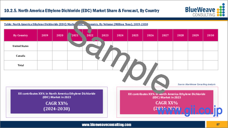 サンプル2：二塩化エチレン（EDC）市場：世界の規模、シェア、動向分析、機会、予測レポート、2019-2030年