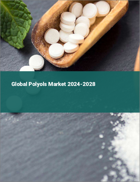 表紙：ポリオールの世界市場 2024-2028