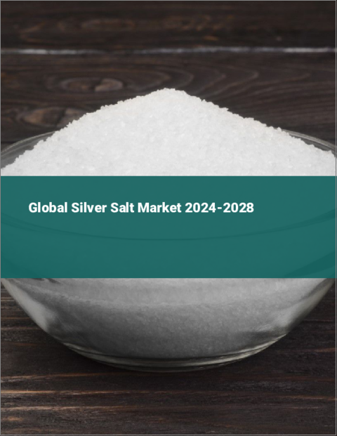 表紙：銀塩の世界市場 2024-2028