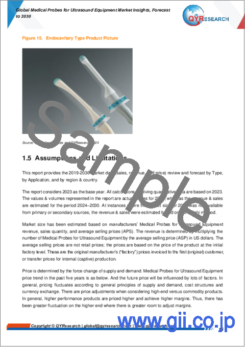 サンプル1：超音波装置向け医療用プローブの世界市場の考察、予測（～2030年）