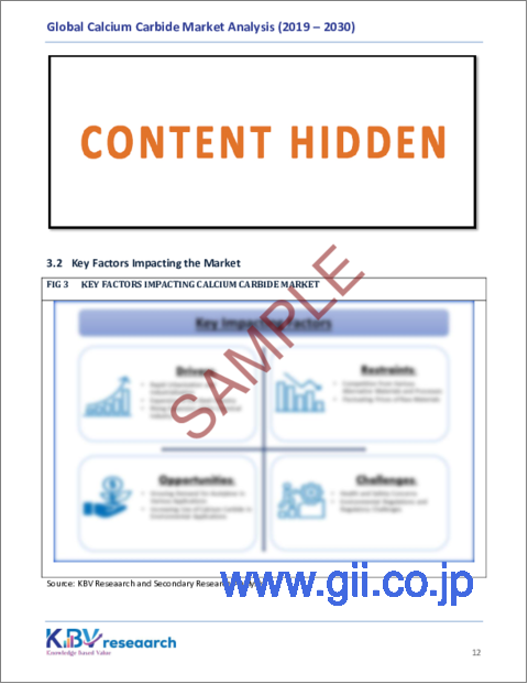サンプル1：炭化カルシウムの世界市場の規模、シェア、動向分析レポート、エンドユーザー別、用途別、地域別、展望と予測、2023年～2030年