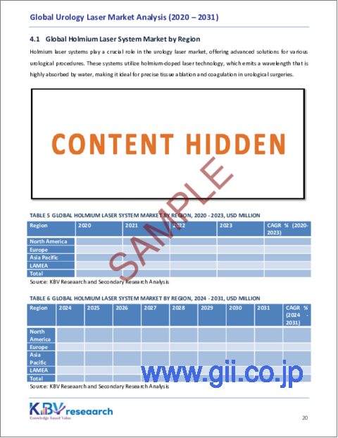 サンプル2：泌尿器科レーザーの世界市場規模、シェア、動向分析：レーザータイプ別、用途別、地域別展望と予測（2024年～2031年）