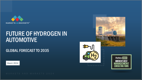 表紙：自動車市場における水素の将来- 車両タイプ別、推進タイプ別、水素補給ポイント別、地域別 - 予測（～2035年）