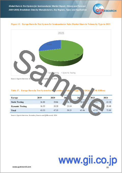 サンプル1：半導体用バーンインテストシステムの世界市場：実績と予測（2019年～2030年）