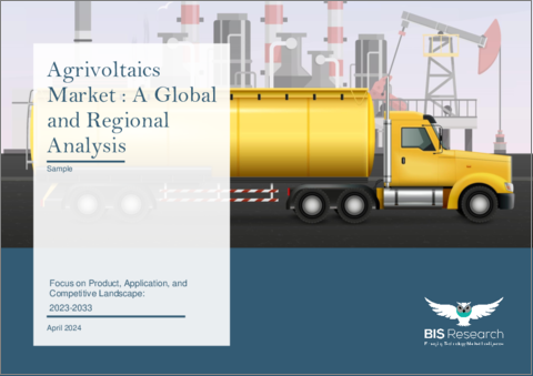表紙：アグリボルタイクス市場- 世界および地域別分析：製品別、用途別、競合情勢：2023年～2033年