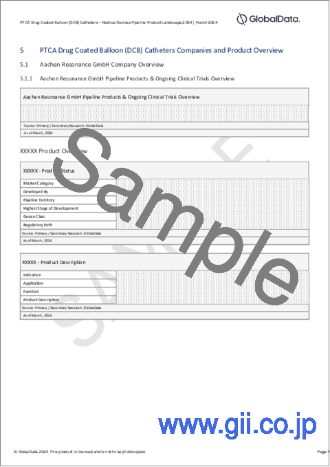 サンプル2：PTCA薬剤コーティングバルーン（DCB）カテーテル市場：パイプラインレポート（開発段階、セグメント、地域・国、規制経路、主要企業）、2024年最新版