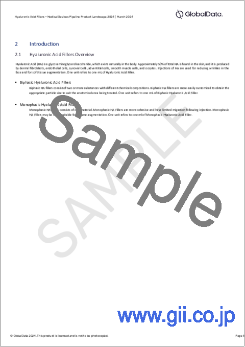 サンプル1：ヒアルロン酸フィラー市場：パイプラインレポート（開発段階、セグメント、地域・国、規制経路、主要企業）、2024年最新版