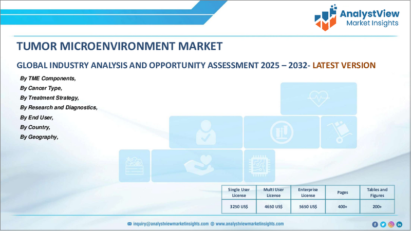 表紙：腫瘍微小環境（TME）市場：TME構成要素別、がんタイプ別、治療戦略別、調査診断別、エンドユーザー別、国別、地域別-2024-2032年の産業分析、市場規模、市場シェア、予測