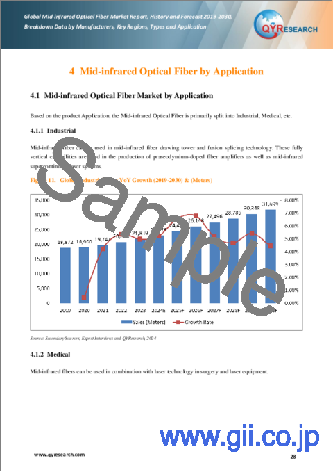 サンプル2：中赤外光ファイバーの世界市場：実績と予測（2019年～2030年）