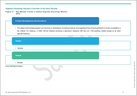 サンプル1：アルギン酸塩ドレッシング市場- 世界および地域別分析：地域・国別分析、競合情勢：分析と予測（2023年～2030年）