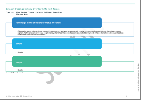 サンプル1：コラーゲンドレッシング市場- 世界および地域別分析：地域・国別分析、競合情勢：分析と予測（2023年～2030年）