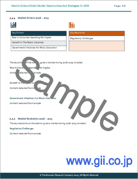 サンプル1：エレキギターの世界市場：2033年までの機会と戦略