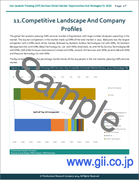 サンプル2：熱間静水圧プレス（HIP）サービスの世界市場：2033年までの機会と戦略