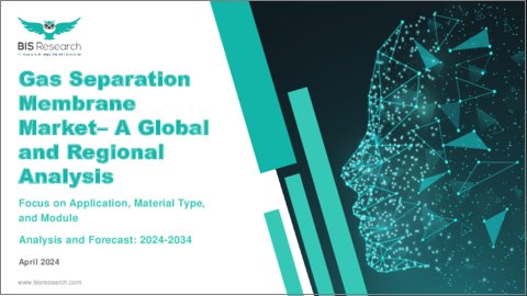 表紙：ガス分離膜市場- 世界および地域別分析：用途別、材料タイプ別、モジュール別-分析と予測（2024年～2034年）