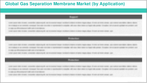 サンプル2：ガス分離膜市場- 世界および地域別分析：用途別、材料タイプ別、モジュール別-分析と予測（2024年～2034年）