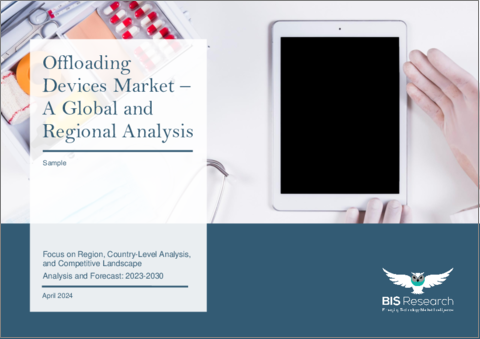 表紙：オフローディングデバイス市場- 世界および地域別分析：地域別・国別分析、競合情勢-分析と予測（2023年～2030年）