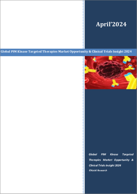 表紙：PIMキナーゼ標的治療の世界市場：市場機会と臨床試験に関する洞察（2024年）