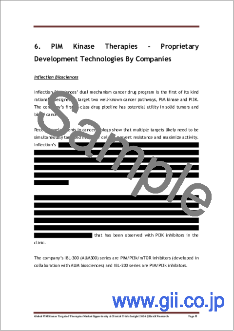 サンプル1：PIMキナーゼ標的治療の世界市場：市場機会と臨床試験に関する洞察（2024年）