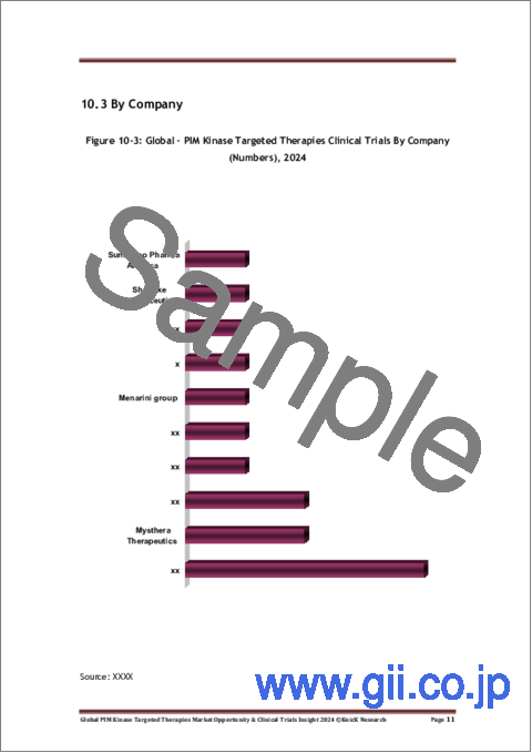 サンプル2：PIMキナーゼ標的治療の世界市場：市場機会と臨床試験に関する洞察（2024年）