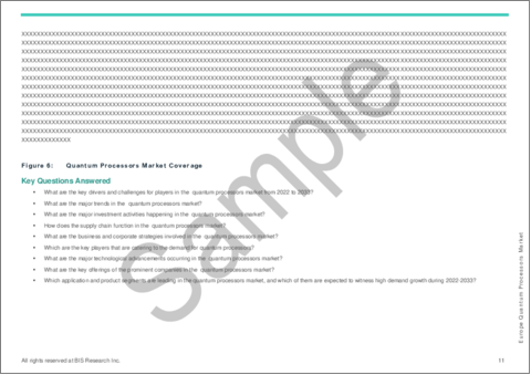サンプル1：欧州の量子プロセッサー市場：用途別、タイプ別、ビジネスモデル別、国別：分析と予測（2023年～2033年）